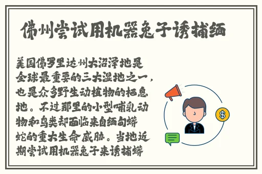 黑又硬巴斯狂砍3714